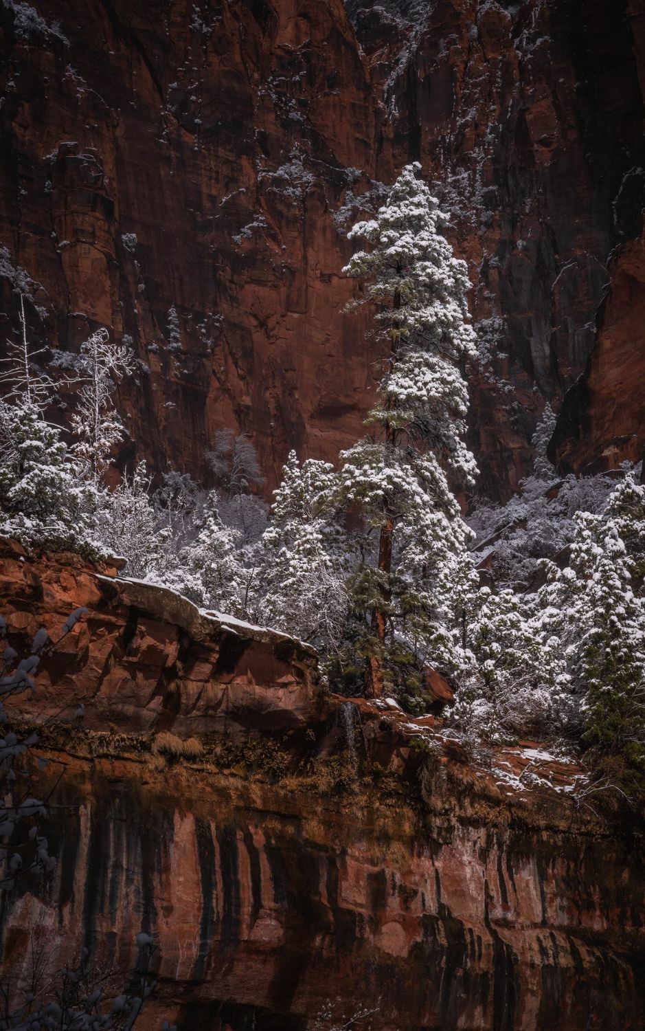 Lower Emerald Pools-Zion NP